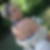 Photo de profil de Catherine Delbecque