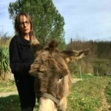Photo de profil de Laurence Laffont