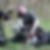 Photo de profil de Gilles Tavernier