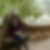 Photo de profil de Evelyne Lacaze