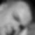 Photo de profil de Hubert Maurice