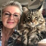 Photo de profil de Patricia Nocella