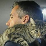 Photo de profil de Jean-Pierre Cargoet