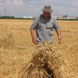 Photo de profil de Robert Plessis