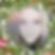 Photo de profil de Fred Pons