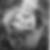 Photo de profil de Jean-Marie Moreau