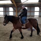 Photo de profil de Franck Herve