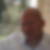 Photo de profil de Thierry Charles-Juste
