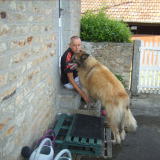 Photo de profil de Jean-Yves Lemarchand