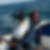 Photo de profil de Christophe Martin de Montagu
