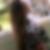Photo de profil de Camberlin Laurence