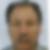 Photo de profil de Messaoud Salhi