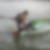 Photo de profil de David Veron