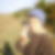 Photo de profil de Paule Fuentes