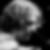 Photo de profil de Jacques Andrieu