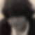 Photo de profil de Véronique Le Gall