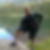 Photo de profil de Sicard Marc