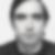 Photo de profil de Patrick Evrard