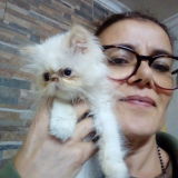Photo de profil de Lucia Alves
