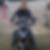 Photo de profil de Bruno Henry