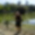 Photo de profil de Andree Aernout