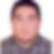Photo de profil de Patrice Roques