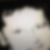 Photo de profil de Mohamed Hamici