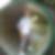 Photo de profil de Ghislain Chanteloup