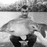 Photo de profil de Stephane Thomas