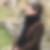 Photo de profil de Delphine Barré