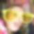 Photo de profil de Alexandra Carriou