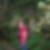 Photo de profil de Beatrice Regerat