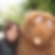 Photo de profil de Beatrice Bauzon