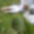 Photo de profil de Laurence Duret