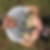 Photo de profil de Stephane Couasnon