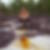 Photo de profil de Valerie Clouet
