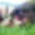 Photo de profil de Lea Ramos