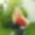 Photo de profil de Sandra Noyelle