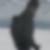 Photo de profil de Phil Dols