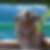 Photo de profil de Max Lopez