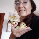Photo de profil de Catherine Wendling