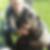 Photo de profil de Eric Carriere