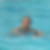 Photo de profil de Pascal Bougard