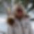 Photo de profil de Danièle Meunier