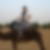 Photo de profil de Frederic Tisserand