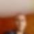 Photo de profil de Patrick Mottet