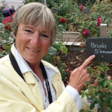 Photo de profil de Christiane Collet