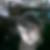 Photo de profil de Chloe Doriancourt