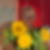 Photo de profil de Ghislaine Petit