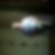 Photo de profil de Thibaud Jacques